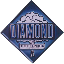 img/diamondtreeexperts.png